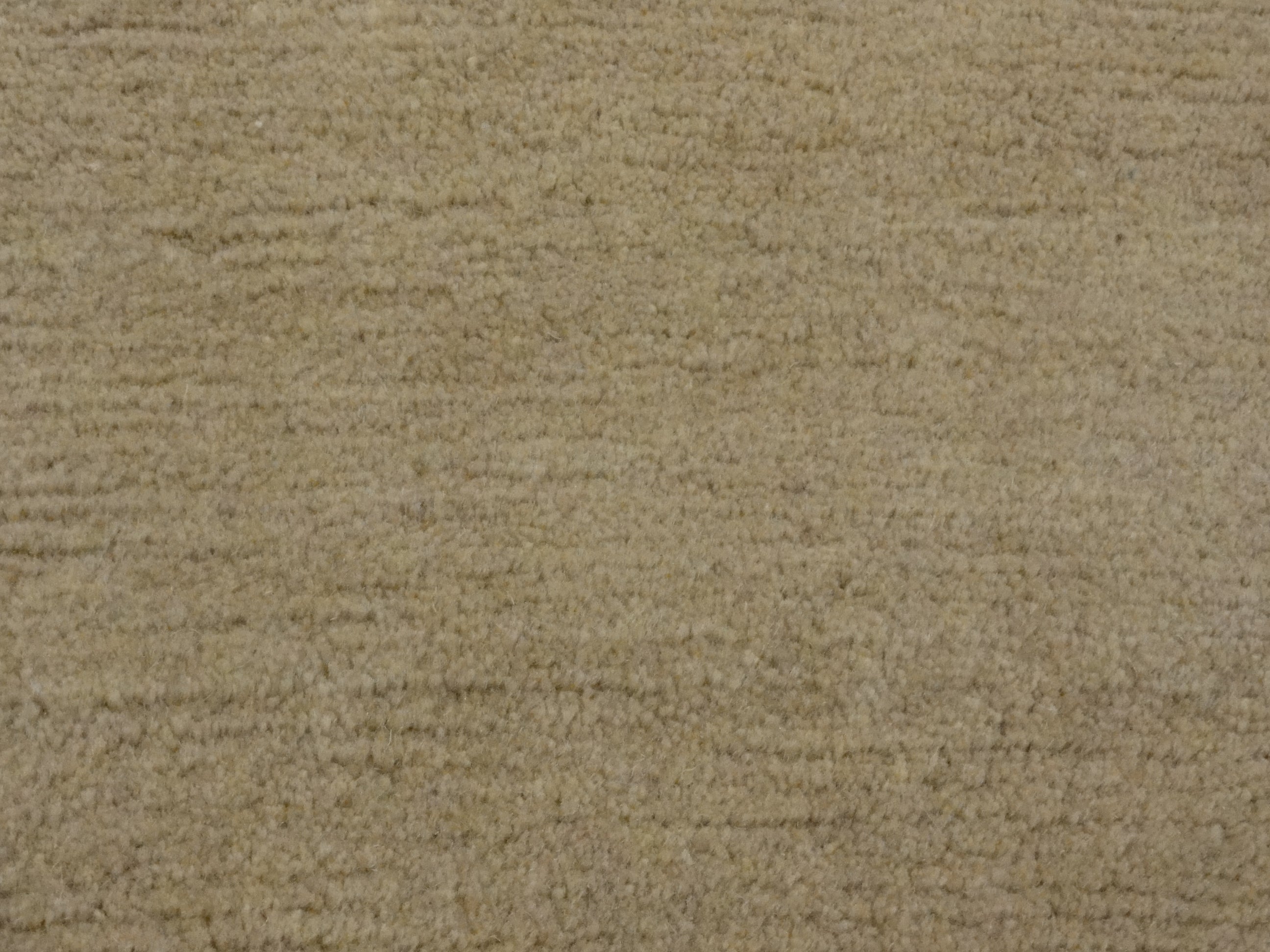 Modern Napolis 32824