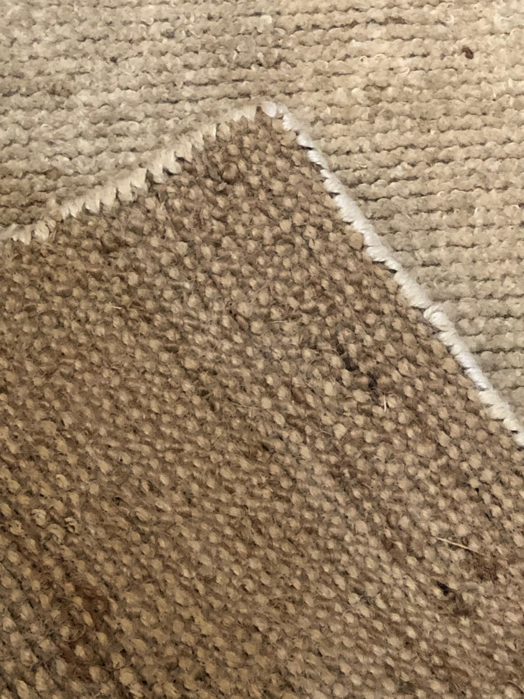 38161 Ziegler & Co. Organic Rug