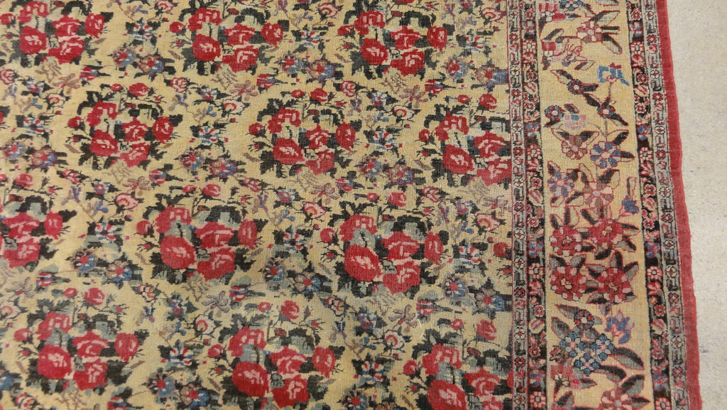 Kerman Rare French Flower 34115