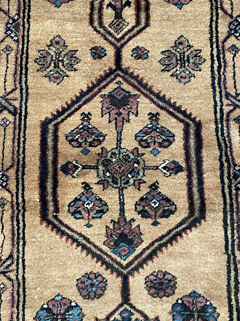 Unique Antique Sarab Camel Hair 38251