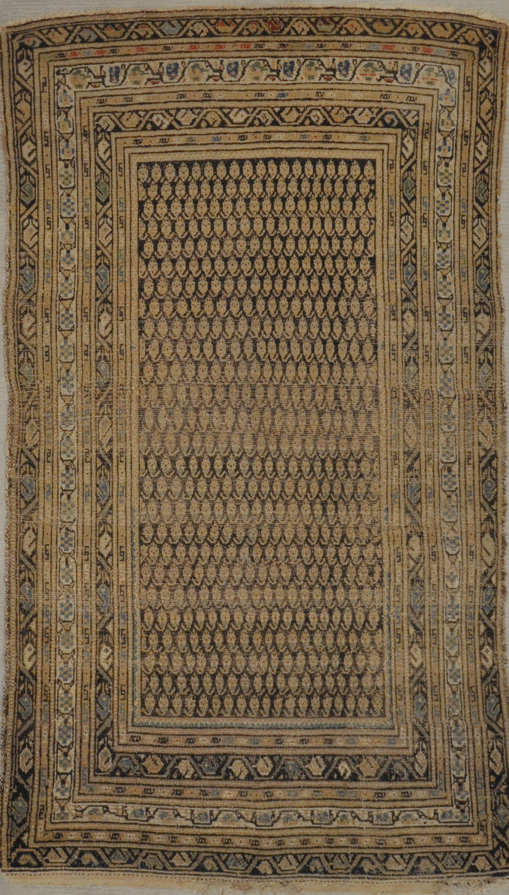 29278 Antique Botanical Persian