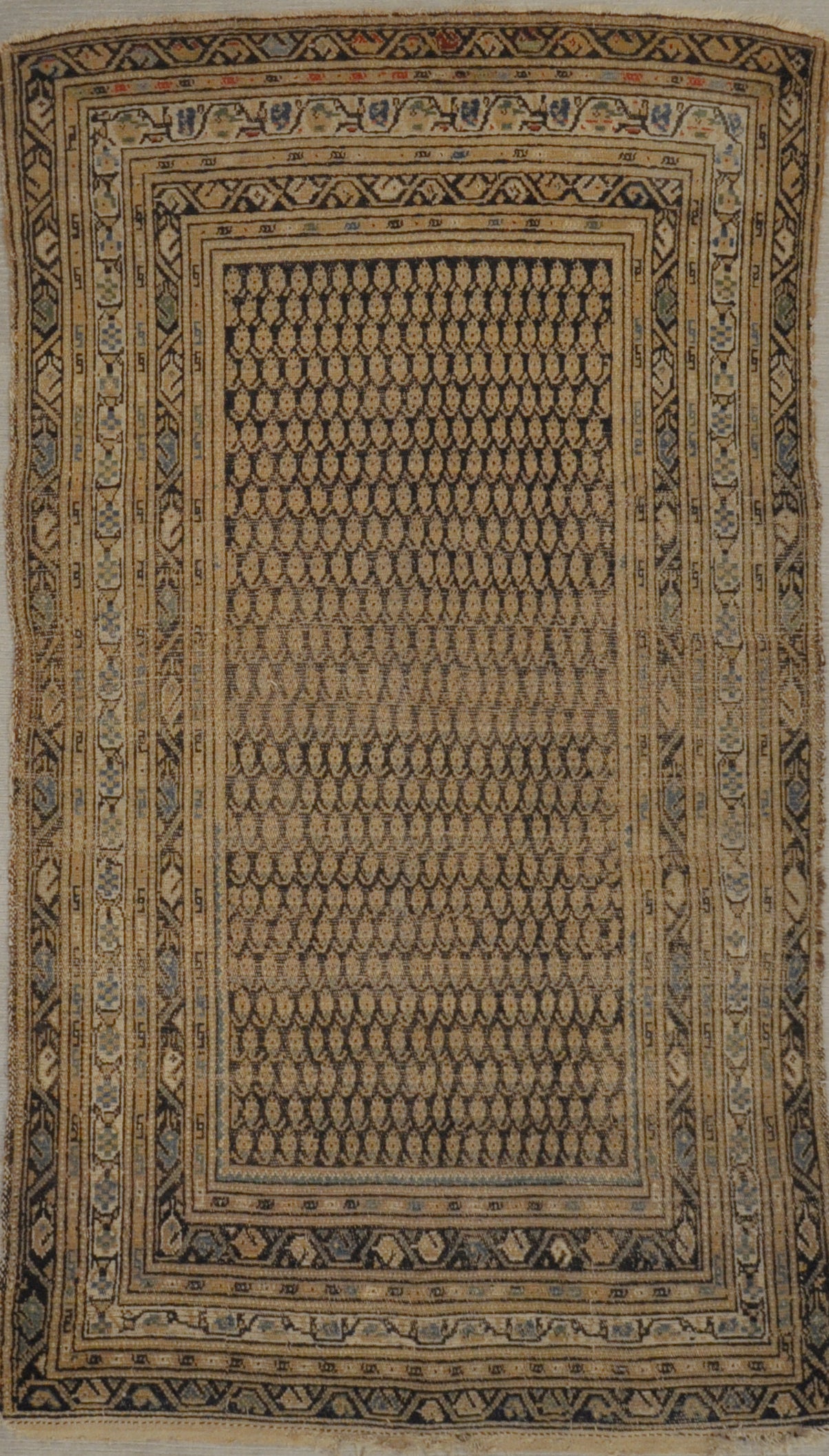 29278 Antique Botanical Persian