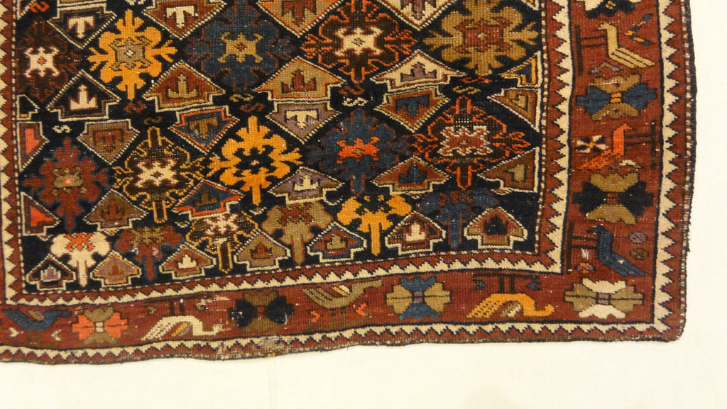 34604 Antique Shirvan Rug