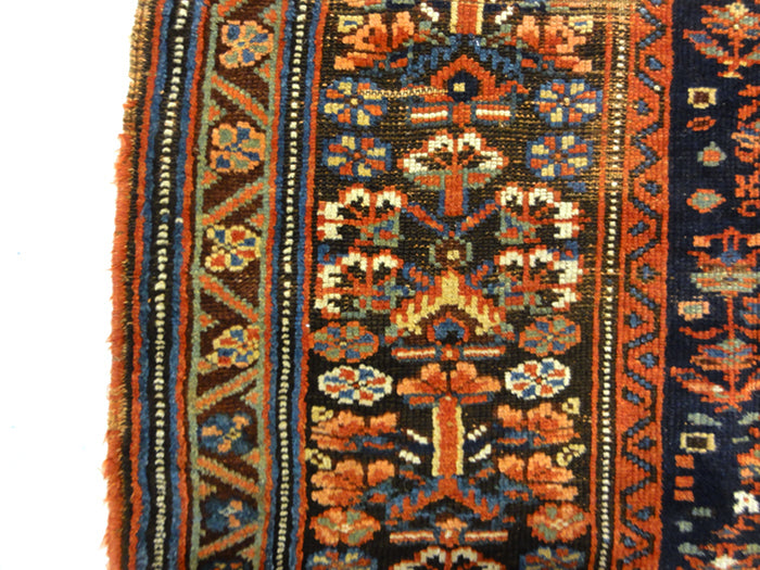 Shahsavan Rug 31829