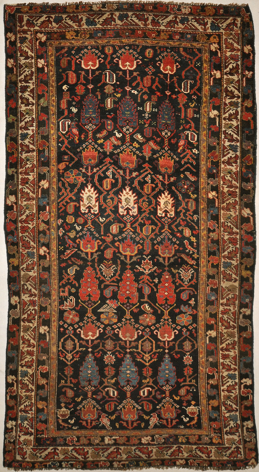 Antique Kurdish Rug - Rugs & More