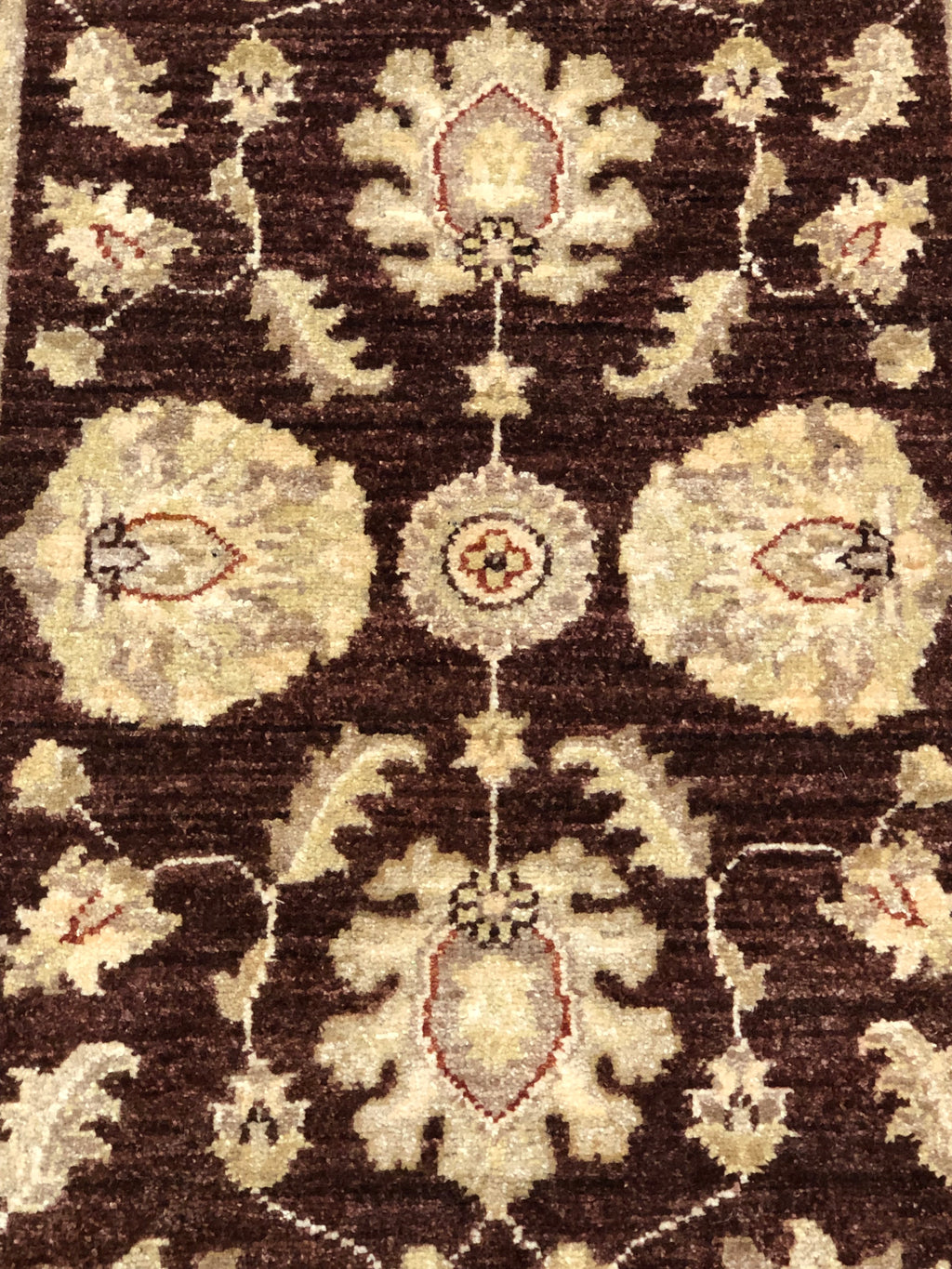 37585 Ziegler & Co. Usak