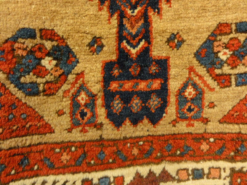 28910 Antique Sarab camel hair collectable rug