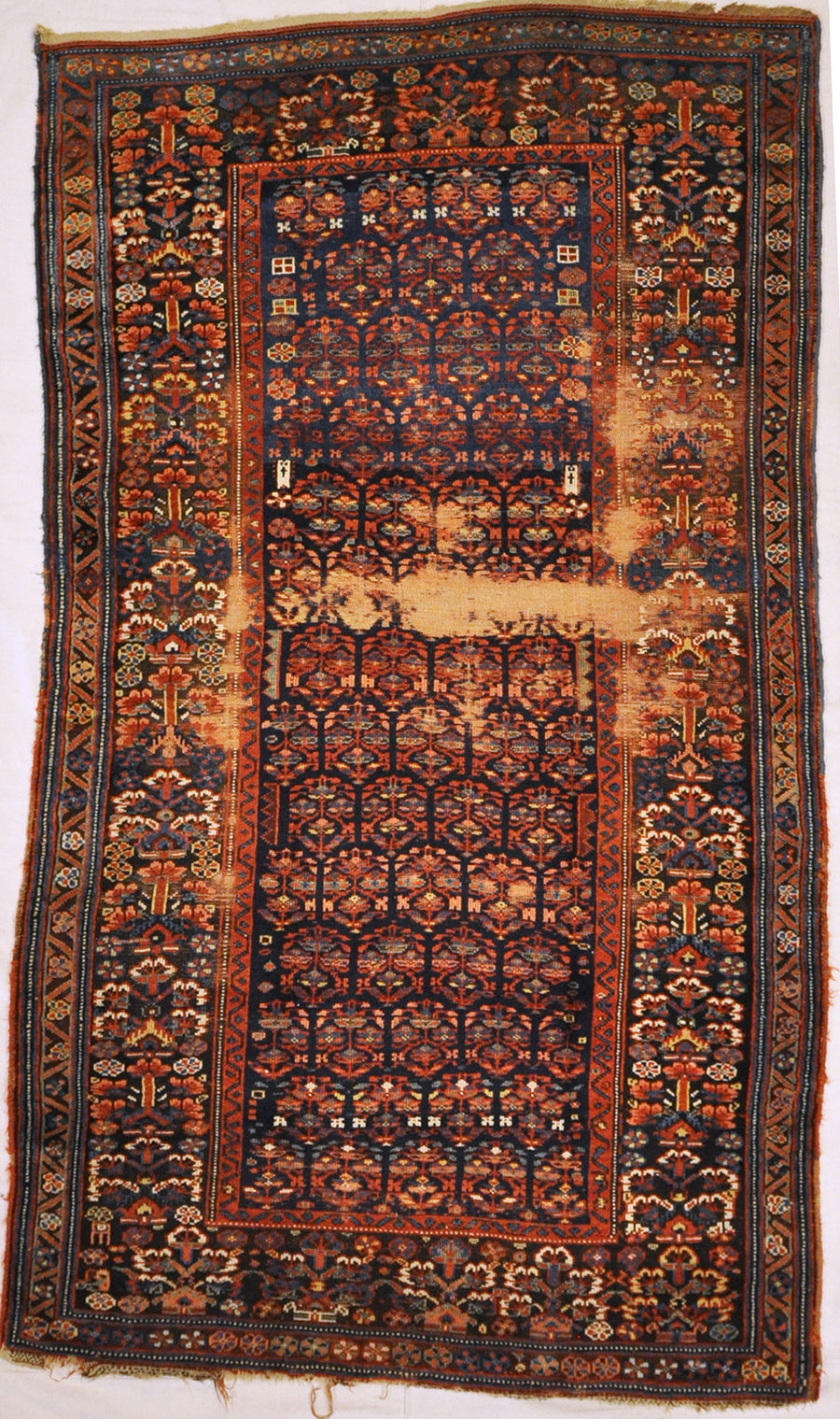 Shahsavan Rug Rugs and More