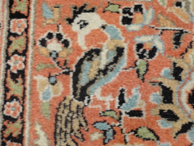 Kashmiri Runner 33627