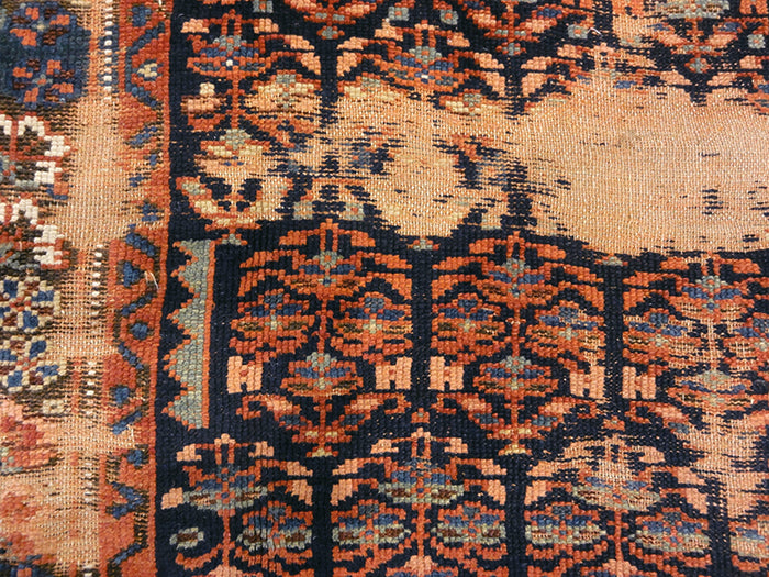 Shahsavan Rug Rugs and More