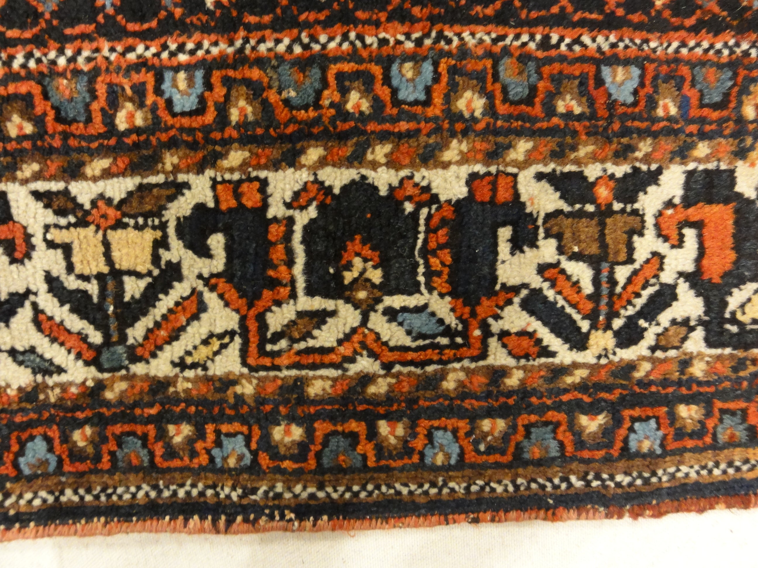 Afshar Persian French Flowers Rug 30165