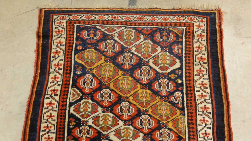 North West Persian Kurd 34112