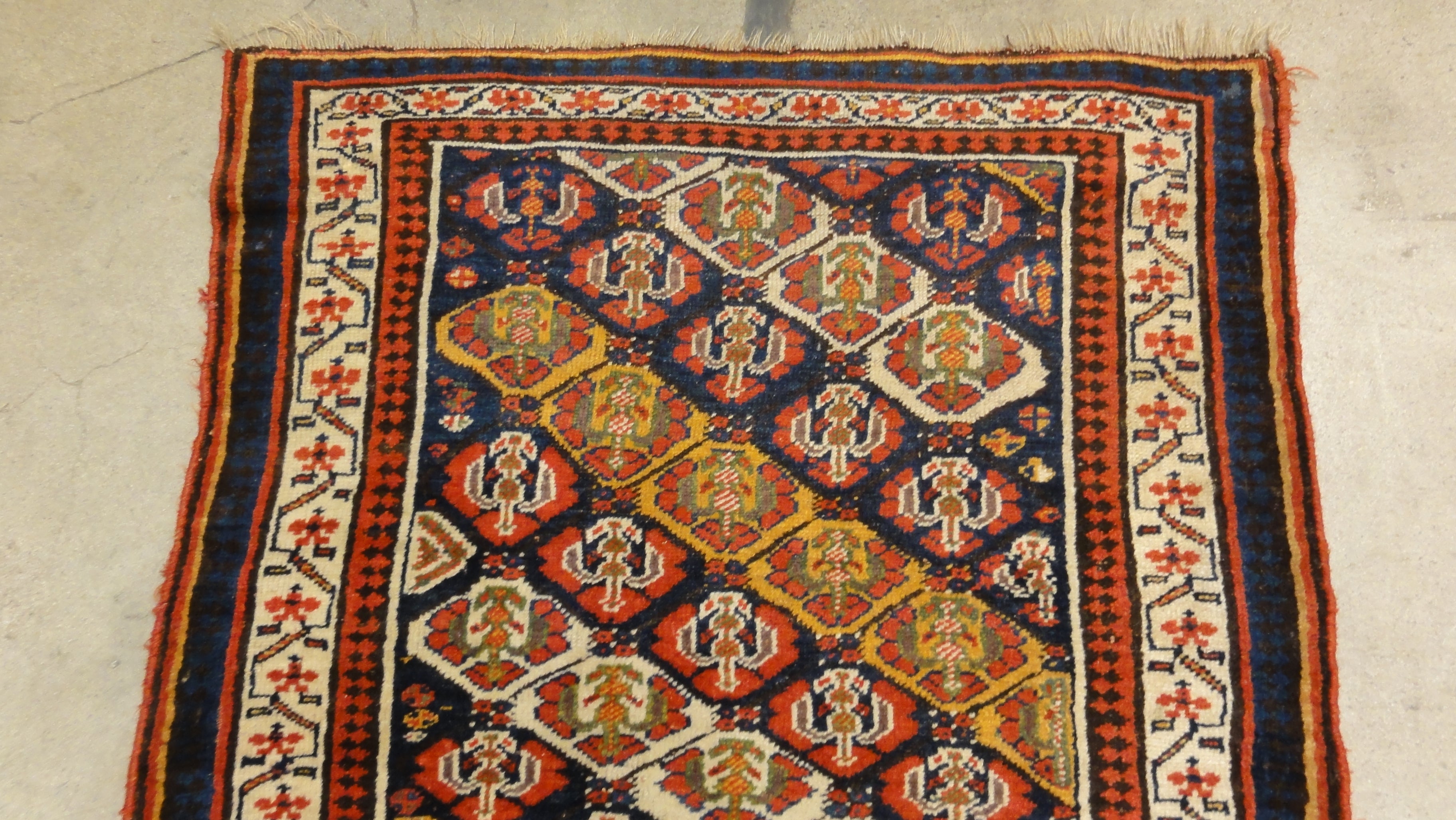 North West Persian Kurd 34112