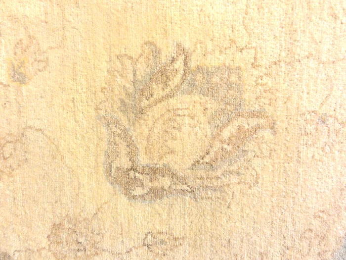 Ziegler & Co. Usak | Rugs & More | Santa Barbara Design Center