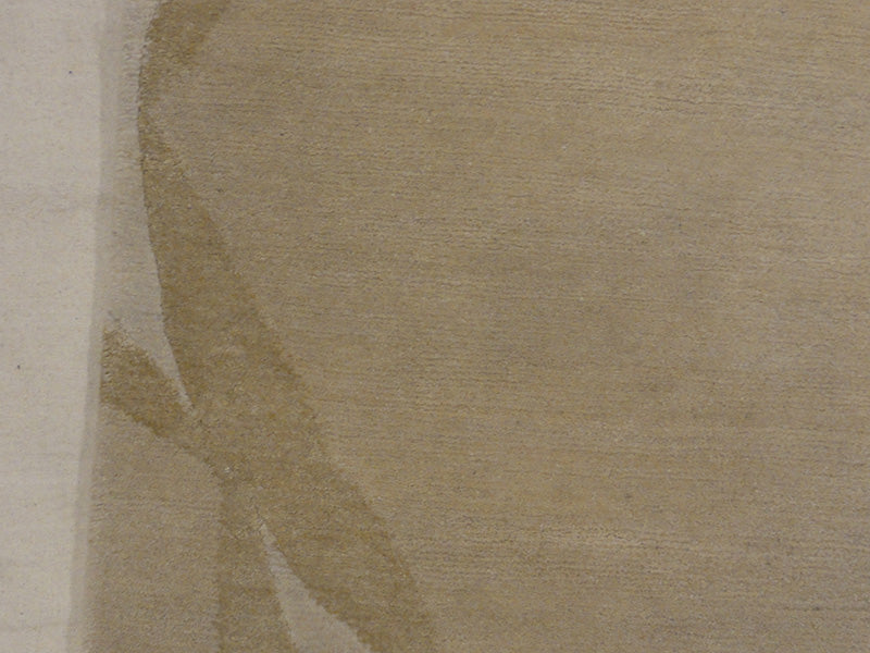 Plain Modern Tibetan 31558