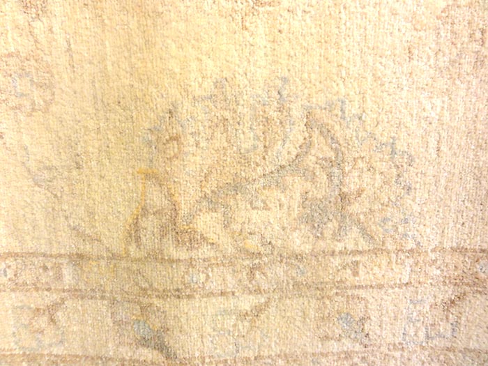 Ziegler & Co. Usak | Rugs & More | Santa Barbara Design Center