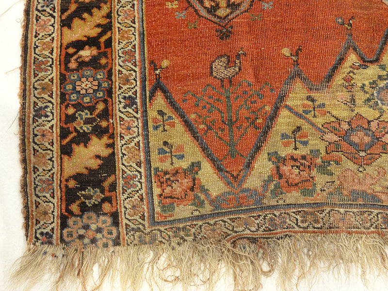 Early Bijar Wagireh Sampler Rug 31720