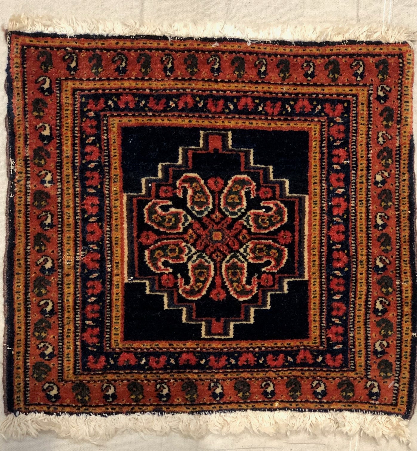 Antique Rare Senneh-Rugsandmore