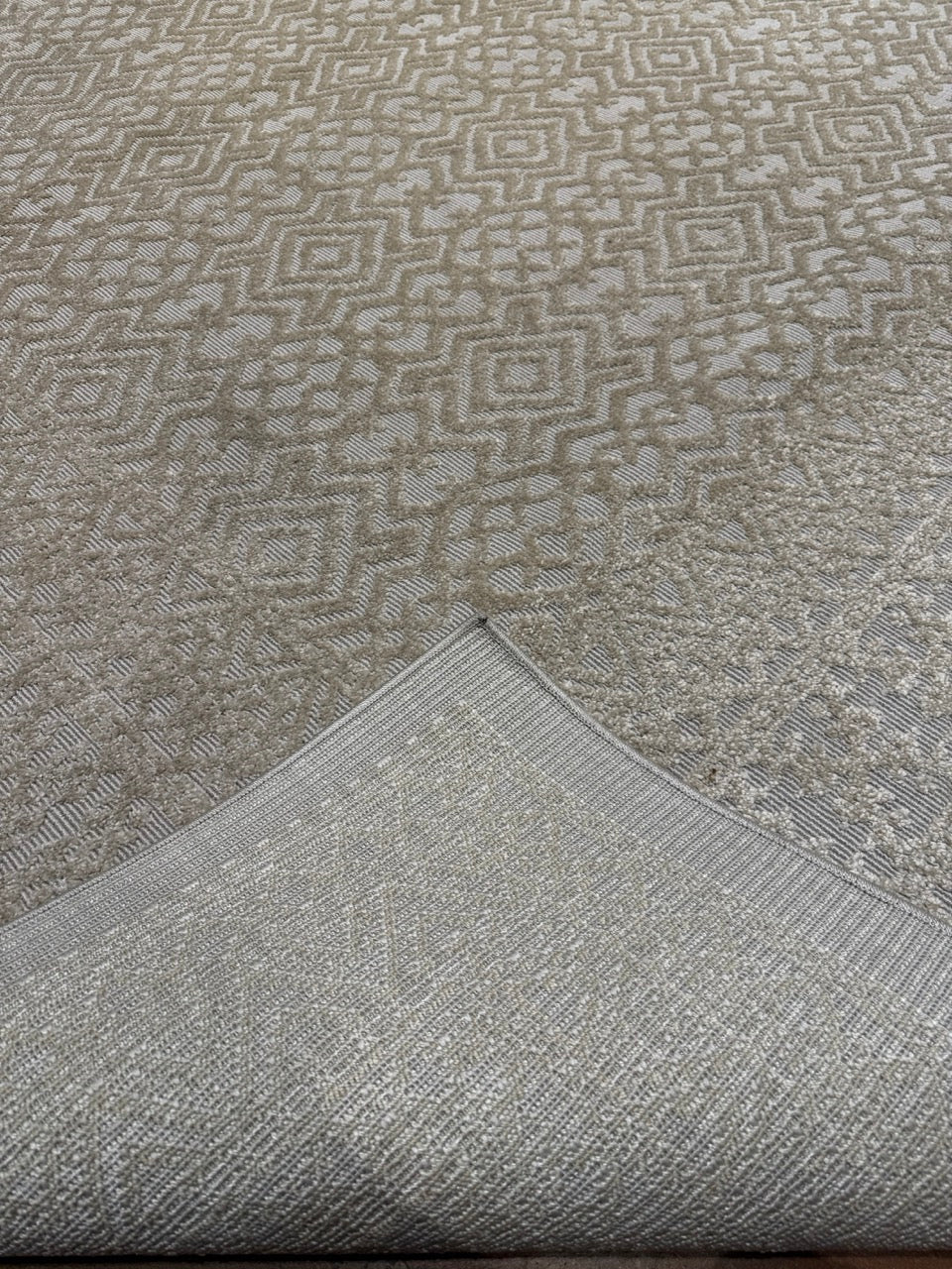 Ziegler & Co. Outdoor Modern Rug in Grey 25289