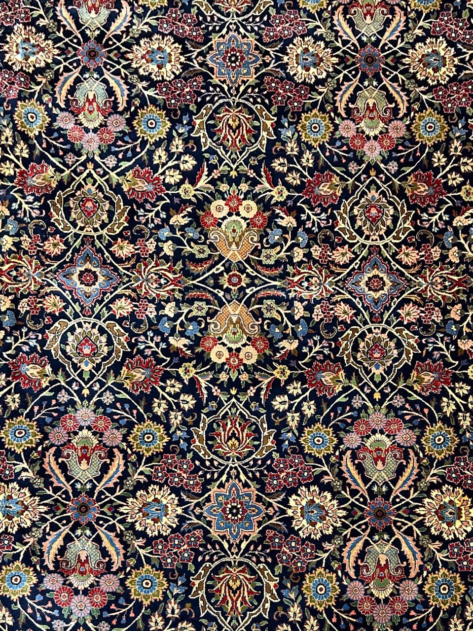 Finest Pashmina Shahi 25259