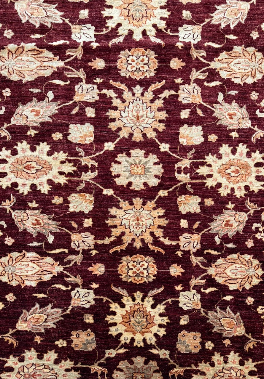 Finest Ziegler & Co Usak 35467