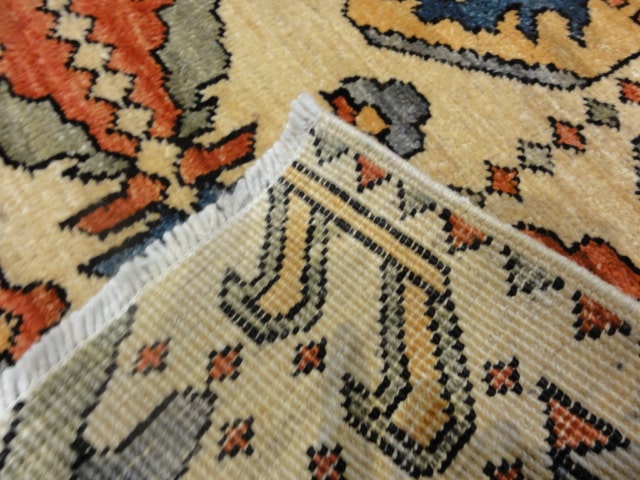 33613 Rare Classic Caucasian