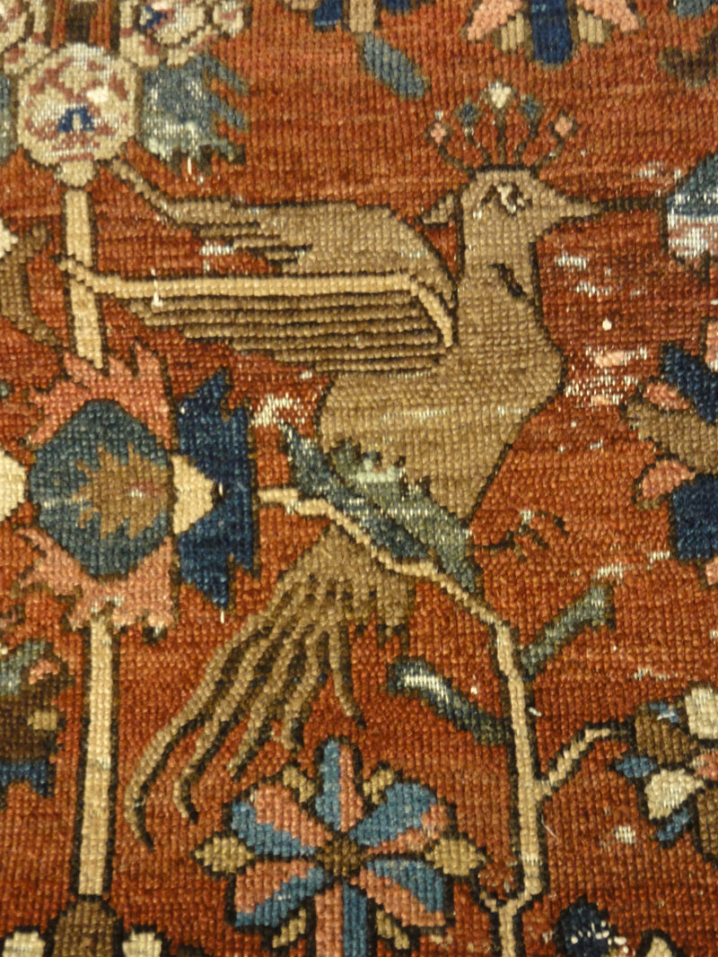 Rare Antique Bakhtiari Rug 35917
