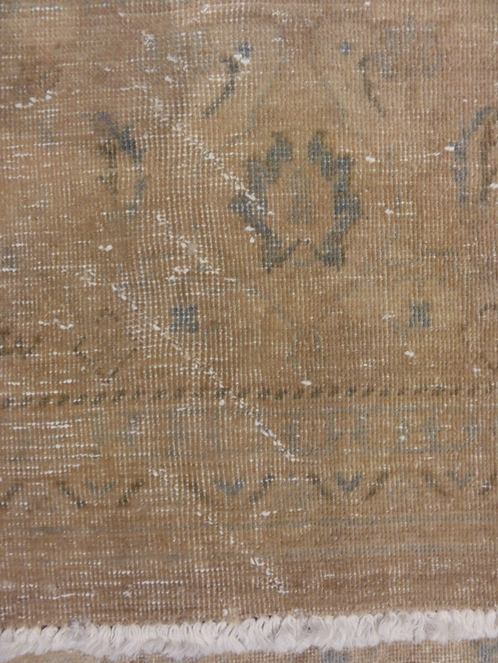 Antique Persian Rugs & More Oriental carpets