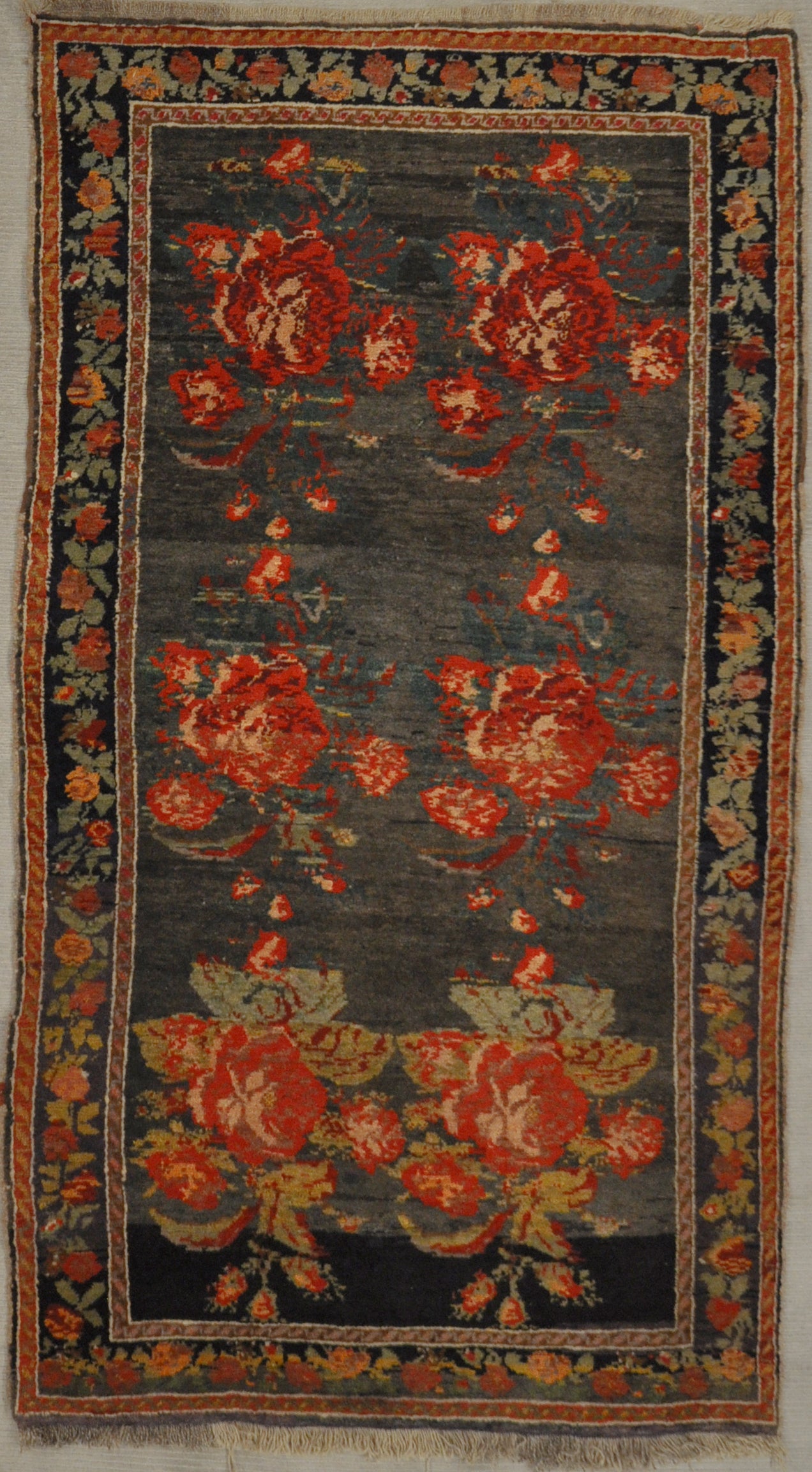 Caucasian Karabagh 29266