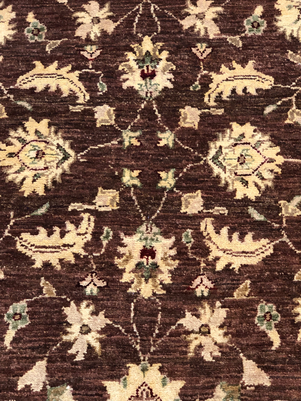 Ziegler & Co Usak- Rugs & More