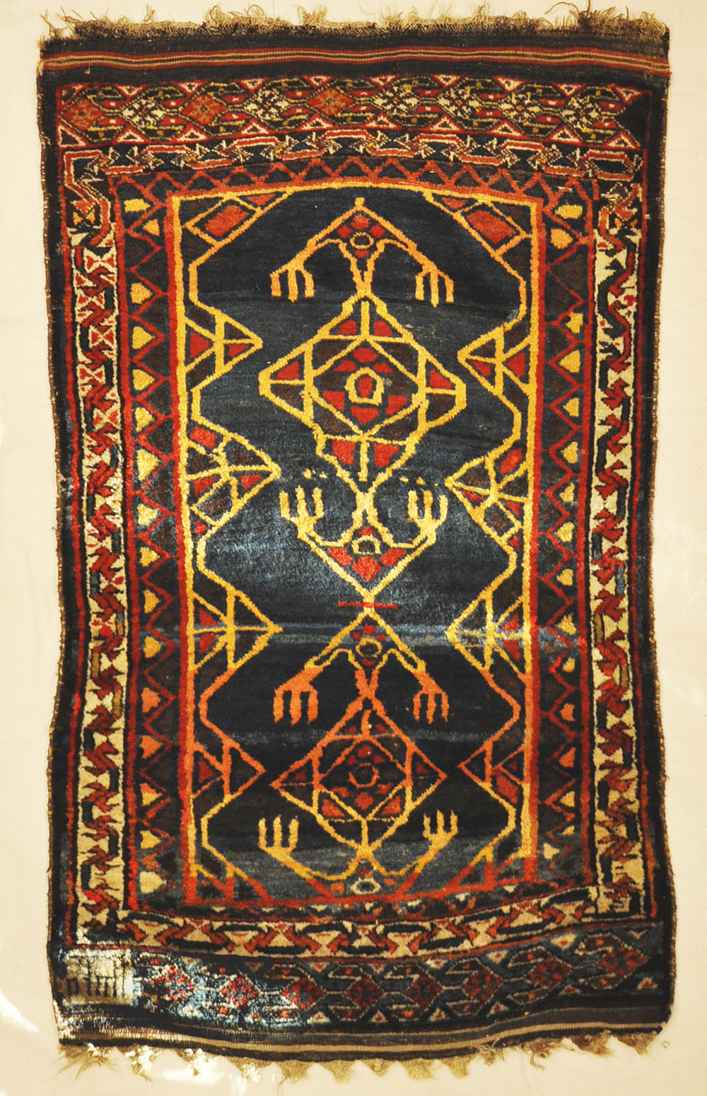 Rare Antique dated Lori