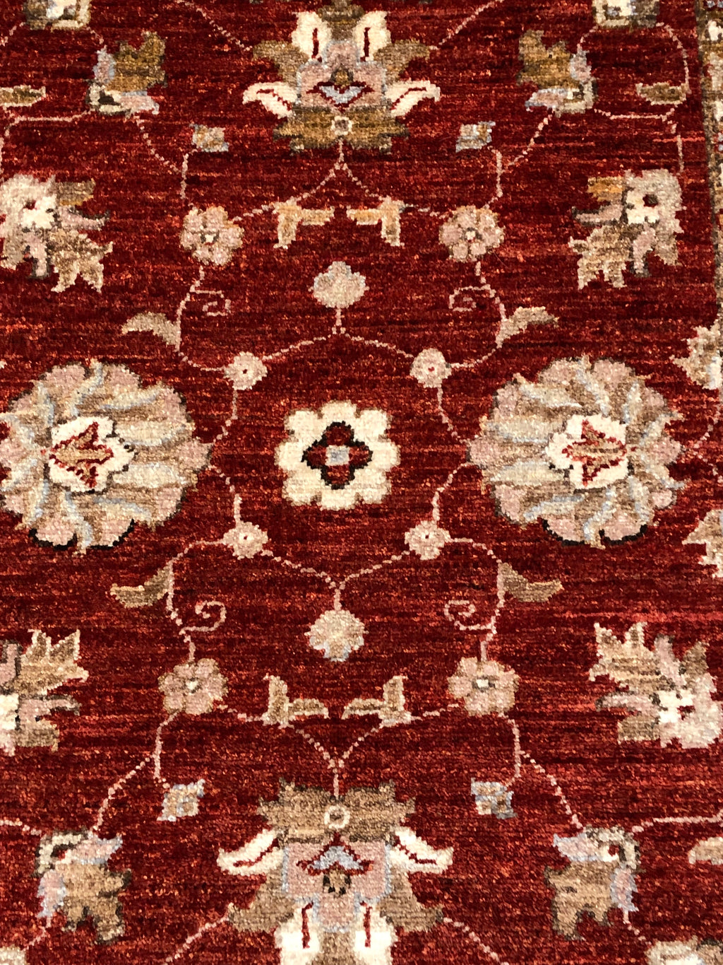 37583 Ziegler & Co. Usak