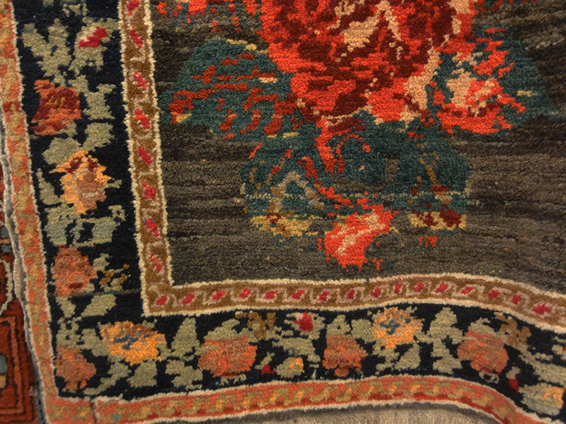 Caucasian Karabagh 29266