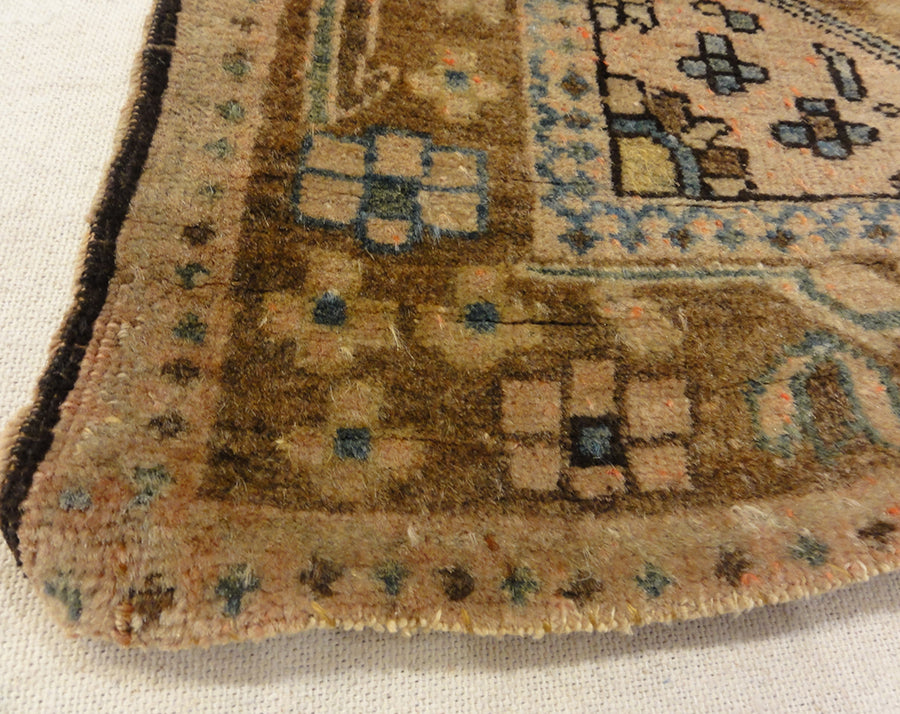 Antique Farhan Rugs and More
