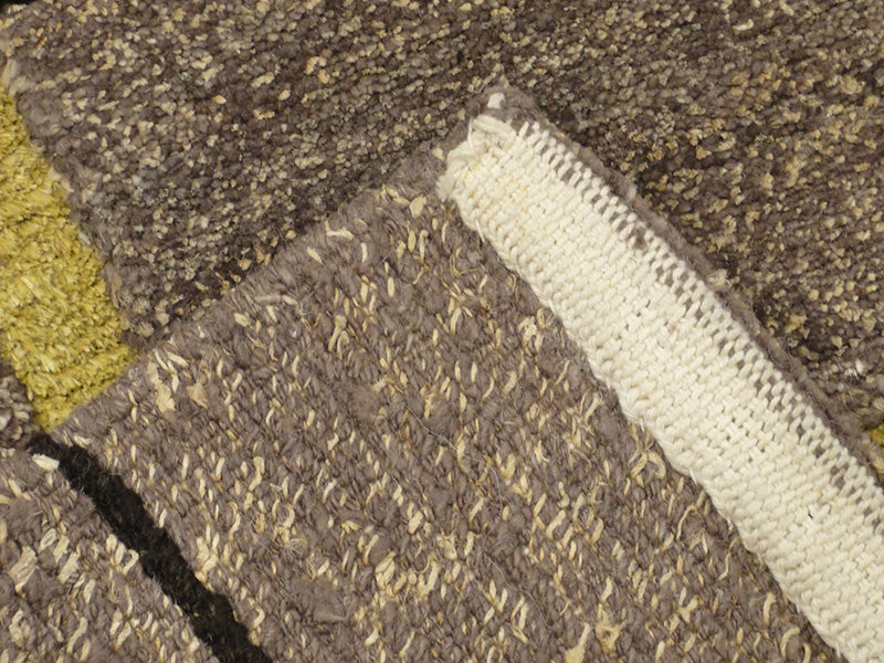 45251 Brown and White Tibetan