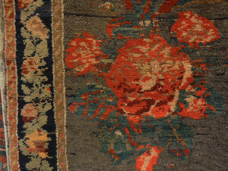 Caucasian Karabagh 29266