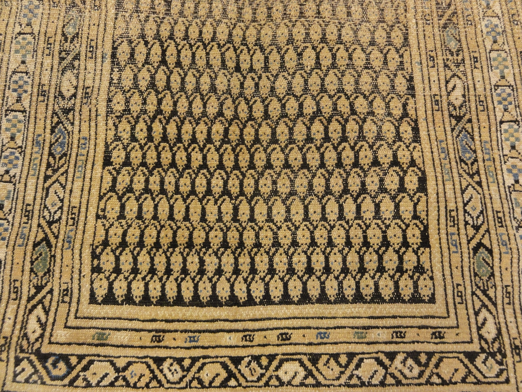 29278 Antique Botanical Persian