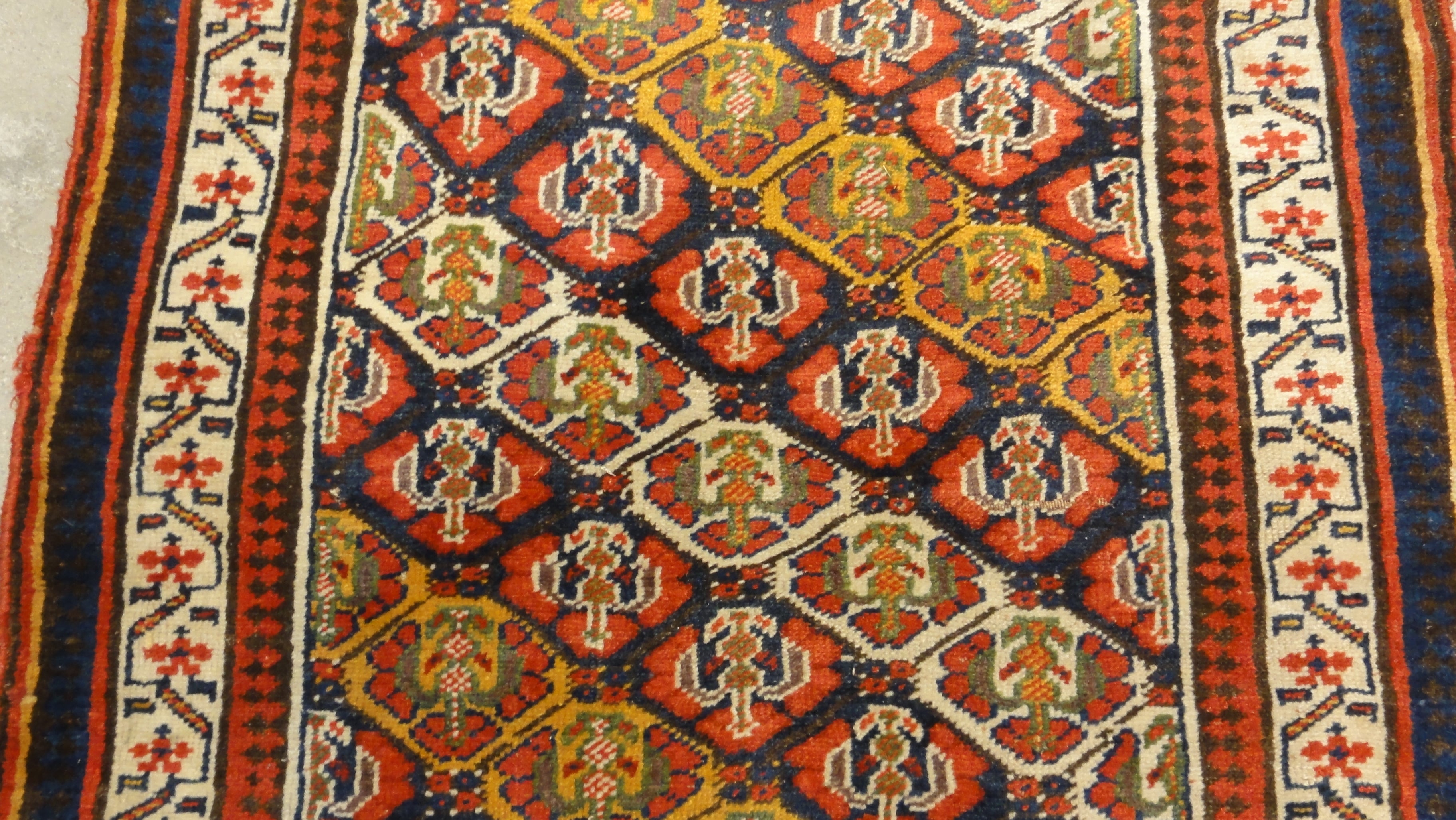 North West Persian Kurd 34112