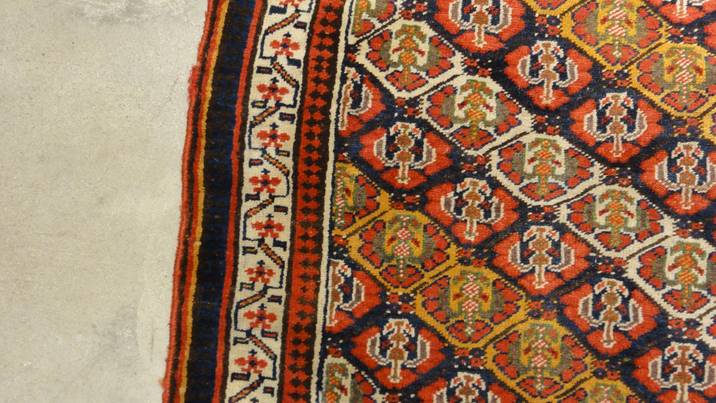 North West Persian Kurd 34112