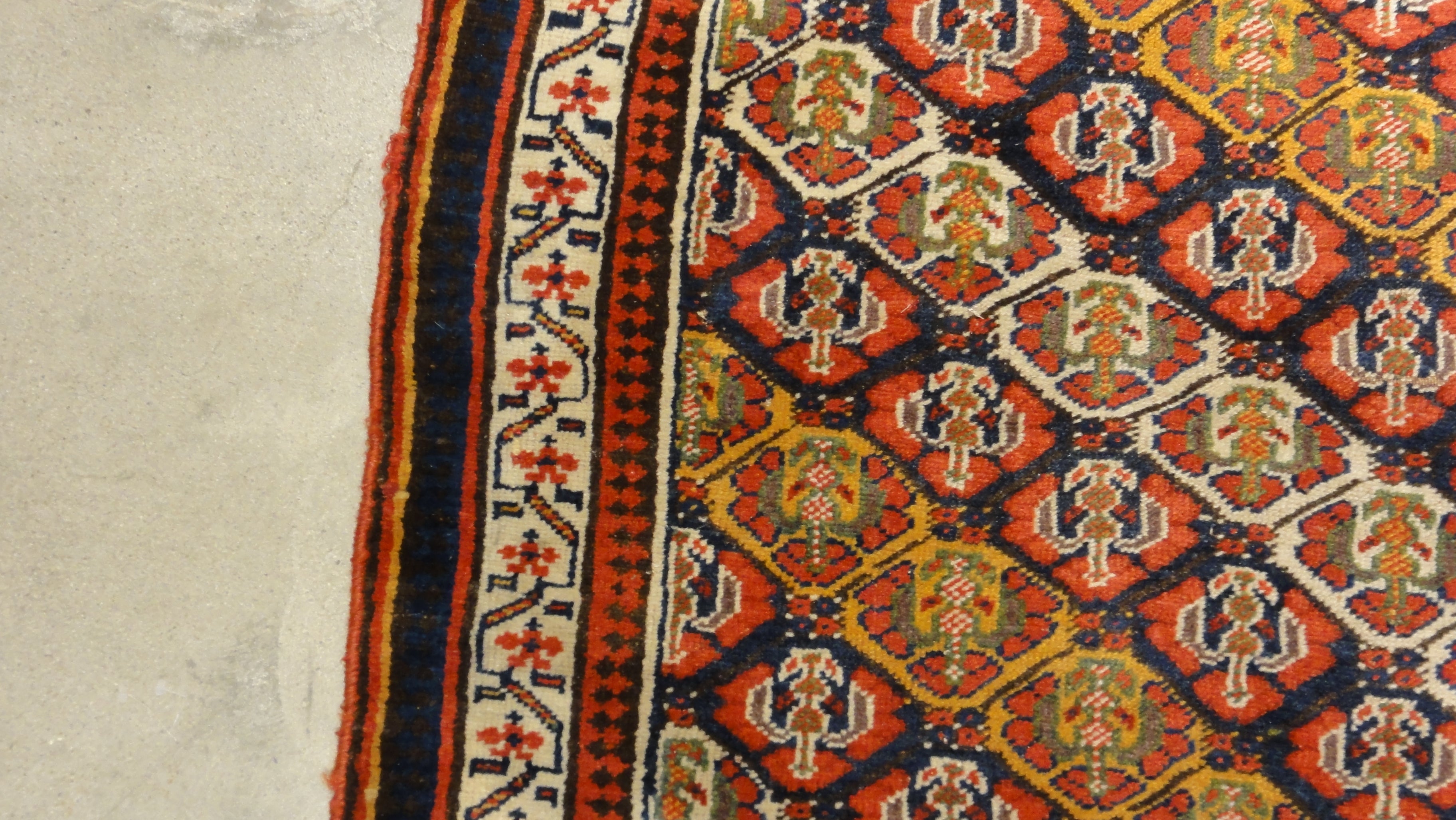 North West Persian Kurd 34112